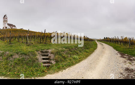 view of a picturesque white country church surrounded by golden vineyard pinot noir grapevine landscape with a gravel country road in the foreground Stock Photo