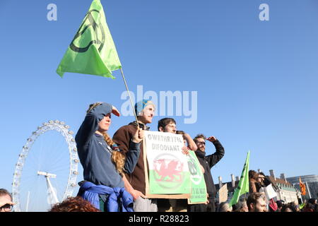 Westminster, London, UK. 17th November 2018. Protests in London. Credit: Ademola Alashe/Alamy Live News Stock Photo