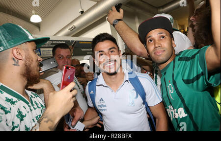 Londrina, Brazil. 17th Nov, 2018. Goalkeeper Fernando Prass, from SE ...