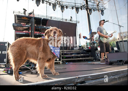 July 11, 2018 - Raleigh, North Carolina; USA - Musician SCOTT WOODRUFF and Cocoa The Tour Dog of the band STICK FIGURE performs live as their 2018 tour makes a stop at the Red Hat Amphitheater located in Raleigh. Copyright 2018 Jason Moore. Credit: Jason Moore/ZUMA Wire/Alamy Live News Stock Photo