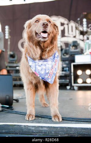 July 11, 2018 - Raleigh, North Carolina; USA - Musician SCOTT WOODRUFF and Cocoa The Tour Dog of the band STICK FIGURE performs live as their 2018 tour makes a stop at the Red Hat Amphitheater located in Raleigh. Copyright 2018 Jason Moore. Credit: Jason Moore/ZUMA Wire/Alamy Live News Stock Photo