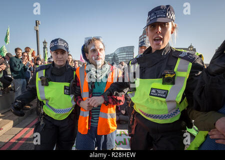 London, UK. 17th November, 2018. Environmental campaigners from Extinction Rebellion block Lambeth Bridge, one of five bridges blocked in central London, as part of a Rebellion Day event to highlight 'criminal inaction in the face of climate change catastrophe and ecological collapse' by the UK Government as part of a programme of civil disobedience during which scores of campaigners have been arrested. Credit: Guy Corbishley/Alamy Live News Stock Photo