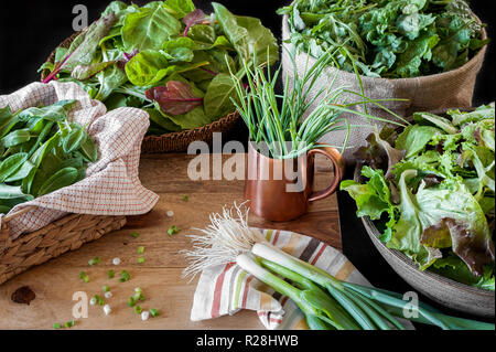 Freshly picked raw produce including leafy greens, spinach, chard, onions and herbs. Stock Photo