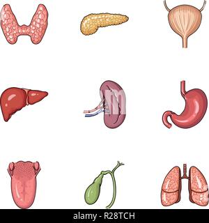 Human organs set icons in cartoon design. Big collection of human organs vector symbol stock illustration Stock Vector