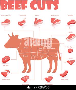 Vector beef cuts chart Stock Vector