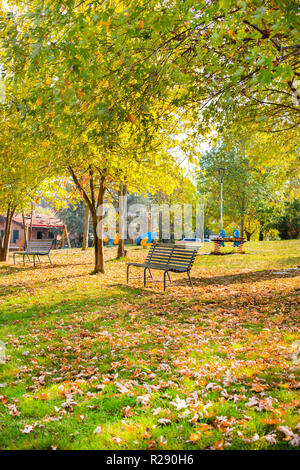 Autumn park in Italy. Benches, meadow, trees and sunlight. Beautiful nature in evroppe