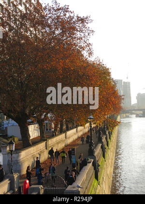 A view of the promenade and autumn foliage in the trees along the River Thames between Lambeth and Westminster Bridges, in the late afternoon sunshine