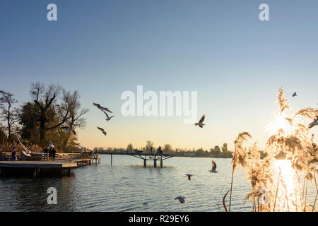 Wien, Vienna: oxbow lake Alte Donau (Old Danube), people at boardwalk at lakeshore, flying gulls in 22. Donaustadt, Wien, Austria Stock Photo