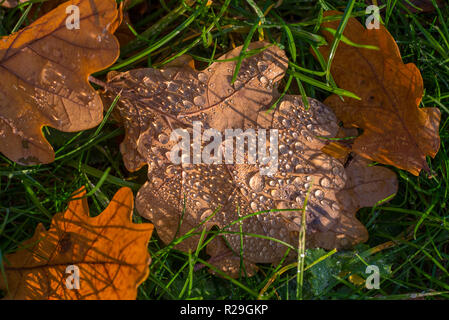 Autumn Fall Stock Photo