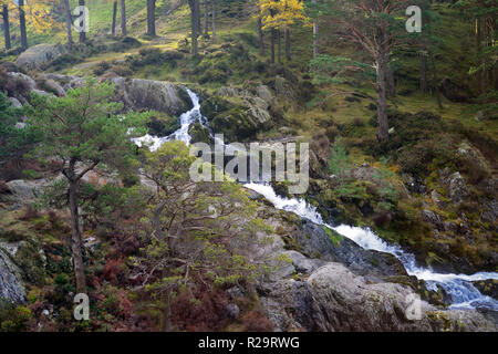 Ogwen Falls is where the Ogwen River starts its journey from Llyn Ogwen into the Nant Ffrancon valley in Snowdonia, North Wales. Stock Photo