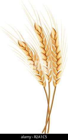 Eco wheat icon. Realistic illustration of eco wheat vector icon for web design isolated on white background Stock Vector