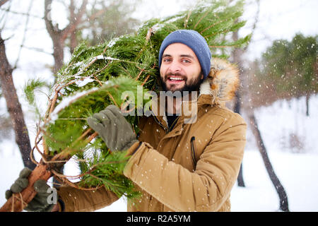 Bearded man carrying freshly cut down christmas tree in forest. Young lumberjack bears fir tree on his shoulder in the woods. Irresponsible behavior towards nature, save forest, keep green concept. Stock Photo