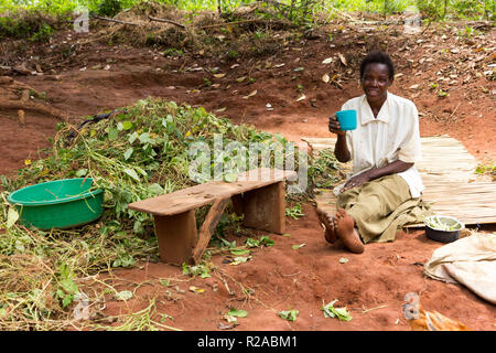 An African woman sitting on the red ground, drinking porridge of out a cup. Beside her is a pile of husked green beans. Stock Photo