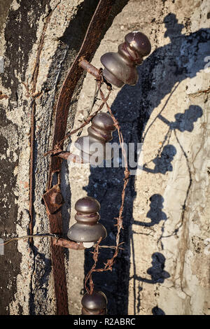 Old rusty barbed wire fence close up picture. Stock Photo