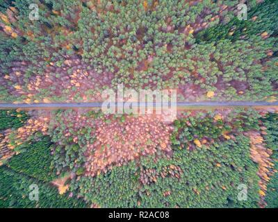 Aerial view of straight road through the mixed forest in the autumn colors, Mazury, Poland Stock Photo