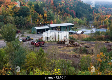 Logging industry facility, Bristol, Vermont, USA. Stock Photo