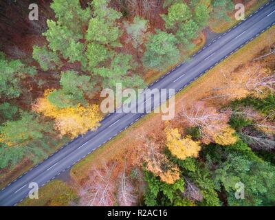 Aerial view of straight road through the mixed forest in the autumn colors, Mazury, Poland Stock Photo