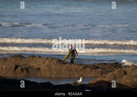 Westward Ho!, Devon, UK. 18th Nov, 2018. Blue skies as a man walks with his surfboard between the rocks along the seafront in glorious sunshine at Westward Ho! in Devon. Credit: Keith Larby/Alamy Live News Stock Photo