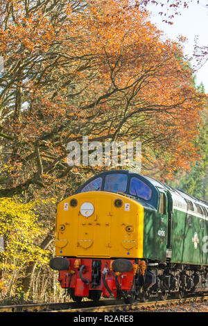 Bewdley, UK. 18th November, 2018. UK weather: rail passengers on Severn Valley Railway (heritage railway line between Kidderminster and Bridgnorth) enjoy glorious autumn sunshine as their vintage UK diesel locomotive, 40106 Atlantic Conveyor, is seen approaching here passing through the rural, autumn Worcestershire countryside. Credit: Lee Hudson/Alamy Live News Stock Photo