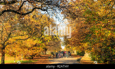 autumn sunset sky Greenwich trees cars road dawn Stock Photo - Alamy