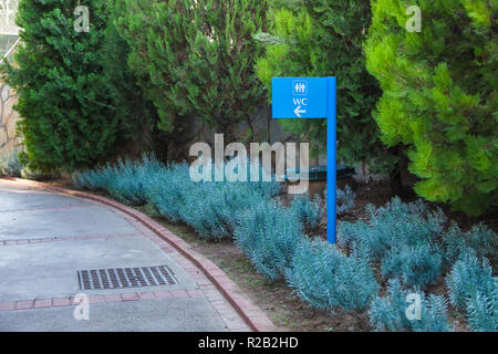 Blue pointer direction to the toilet on the background of natural plants, flowers, trees with green leaves in the park. Background Stock Photo