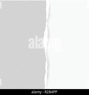 Squared ripped vertical grey paper for text or message are on white background. Vector illustration Stock Vector