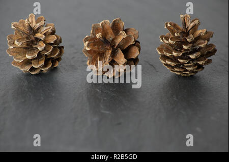 Three 3 pine cones isolated on a slatebackground with reflection Stock Photo