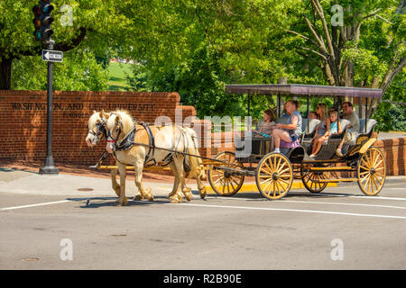 Horse-drawn carriage, Lexington Carriage Company, Lexington, Virginia Stock Photo