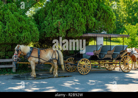 Horse-drawn carriage, Lexington Carriage Company, Lexington, Virginia Stock Photo