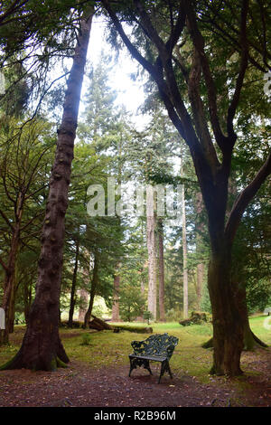 A Photograph of Cragside landscape in Northumberland Stock Photo