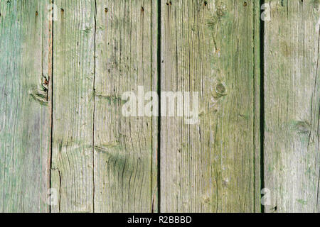 Old natural wood planks textured background, green hue, tint paint Stock Photo