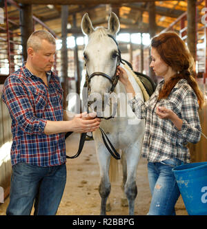 Mature  couple with bucket before  horse standing at  stabling indoor Stock Photo