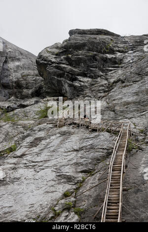 Wooden steps leading to the Oberer Grindelwaldgletscher (Upper Grindelwald Glacier), Hehlischopf, Bernese Oberland, Switzerland Stock Photo