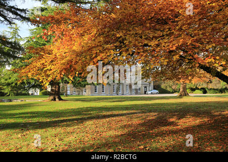 autum time with large country residence, ireland, Stock Photo