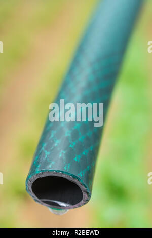 Braided PVC garden hosepipe against dry vegetable garden, veggie patch. Metaphor UK drought, European drought, German drought, water shortage, plastic Stock Photo