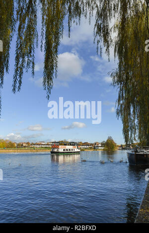 RIVER THAMES, WINDSOR, ENGLAND - NOVEMBER 2018: Tourist sightseeing boat cruising along the River Thames near Windsor, with view framed by the hanging Stock Photo