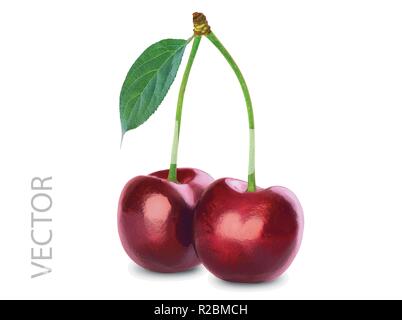 Vector illustration of two cherries and a leaf isolated on white background Stock Vector