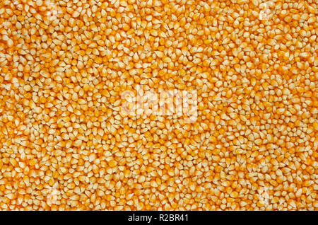 Unpopped popcorn, surface and background. A type of corn that expands from the kernel and puffs up when heated. Yellow seeds. Stock Photo