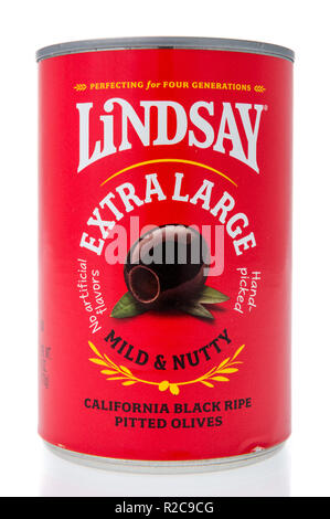 Winneconne, WI - 11 November 2018: A can of Lindsay extra large mild and nutty California black ripe pitted olives on an isolated background. Stock Photo