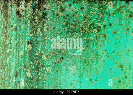 Green rusted metal with mold growth, texture - Hollywood, Florida, USA Stock Photo