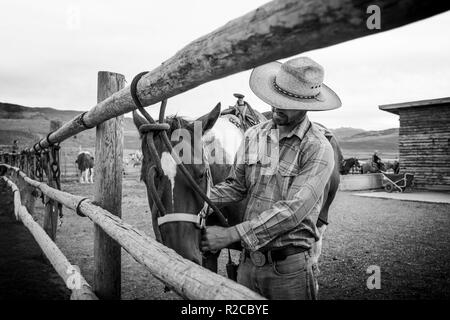 Cowboy and his horse after a ride on one of Americas many dude ranches.  Dude ranch advertising. Stock Photo