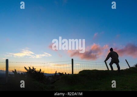 Ardara, County Donegal, Ireland 19th November 2018. A farmer looks out over fields at dawn on a clear, crisp autumn morning. Credit: Richard Wayman/Alamy Live News Stock Photo