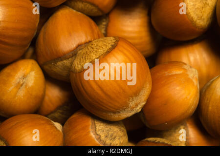 Hazelnuts texture background. filbert. nuts macro Stock Photo