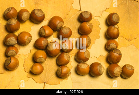 Hazelnuts with autumn leaves background Stock Photo