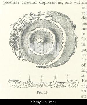 page 306 of 'A Treatise on Rocks, Rock-Weathering, and Soils. [With illustrations.]' . Stock Photo