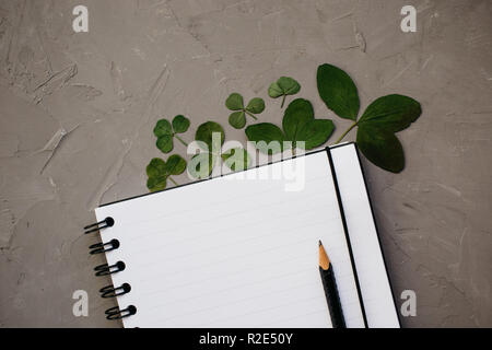 Mock-up with clean notepad and clover leaves, top view. Flat lay composition of blank notebook and pencil Stock Photo