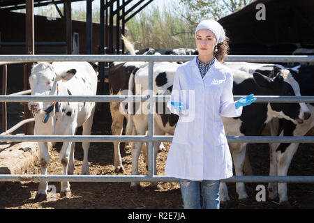 Thoughtful woman wears lab coat and is concerning about cow in the hangar Stock Photo