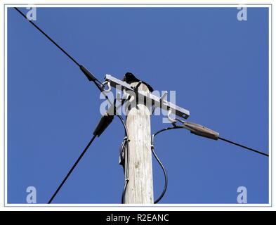 telephone pole Stock Photo
