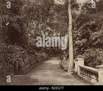 Grant's world tour China. Hong Kong. Path in the public gardens. May 16, 1879. Stock Photo