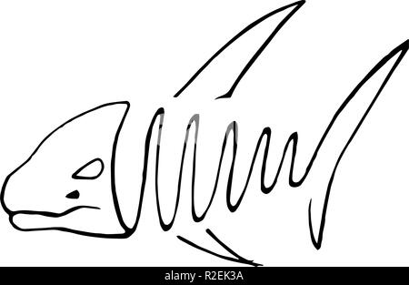 Hand drawing of killer whale in line art style. Stock Vector